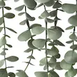 گلدان  مصنوعی اکالیپتوس ایکیا مدل FEJKA کد 904.668.10
