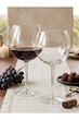 گیلاس بزرگ 2 عددی پاشاباغچه مدل ENOTECA کد 44248