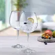 گیلاس شیشه ای 2 عددی پاشاباغچه مدل ENOTECA کد 44248