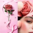 رژگونه گل رز شیگلم | SHEGLAM Pink Ribbon Rose Blush