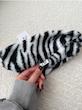 هدبند خز روسی Zebra 🦓 