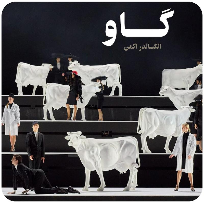 گاو ( الکساندر اکمن ) /  Cow ( Alexander Ekman )