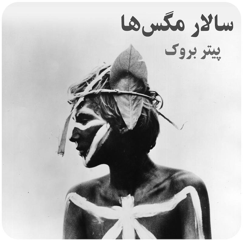 سالار مگس‌ها ( پیتر بروک ) / ( Lord Of Flies ( Peter Brook 