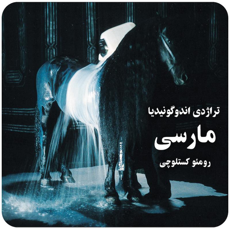 تراژدی اندوگونیدیا : مارسی ( رومئو کستلوچی ) / ( Tragedia Endogonidia Episode ( Marseille