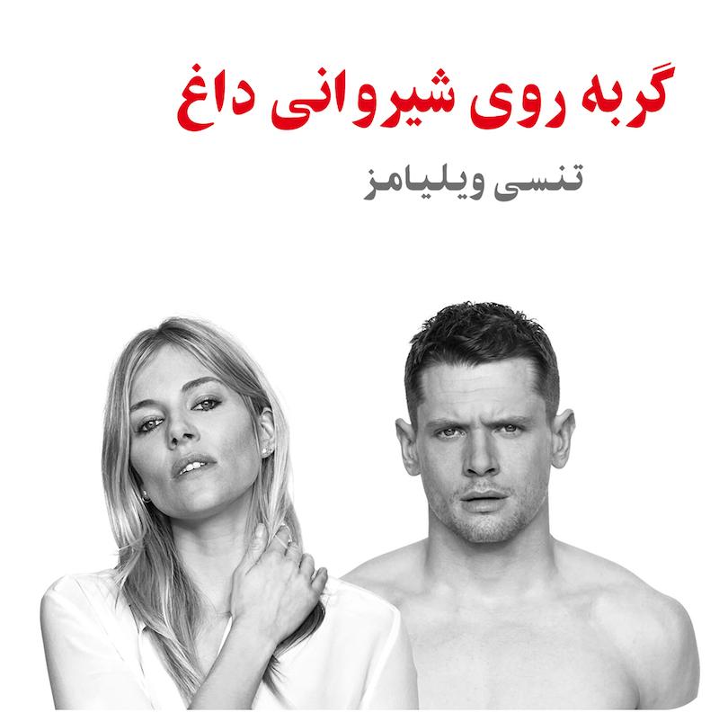 گربه روی شیروانی داغ | تنسی ویلیامز