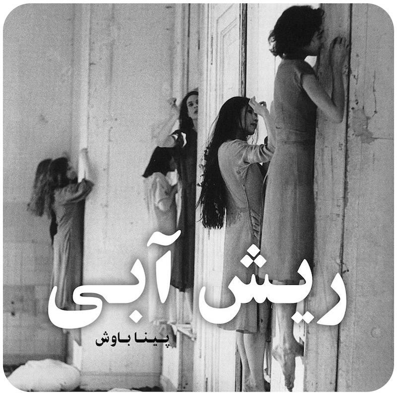 ریش آبی | پینا باوش