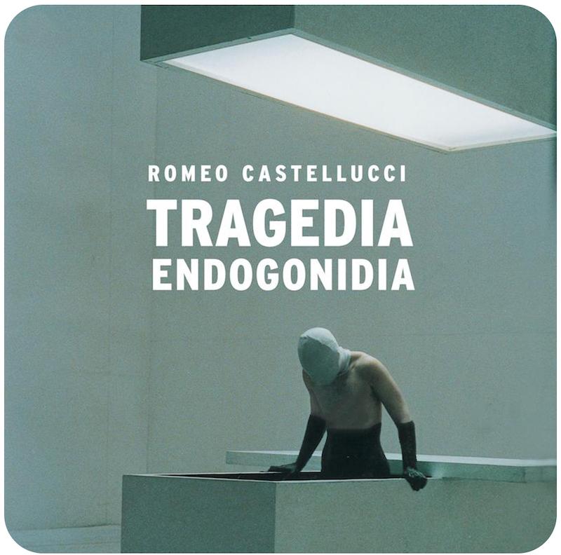 مجموعه تراژدی خود را میزاید ( رومئو کستلوچی ) / ( Tragedia Endogonidia ( Romeo Castellucci