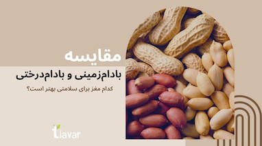 مقایسه بادام‌زمینی و بادام‌درختی؛ کدام مغز برای سلامتی بهتر است؟