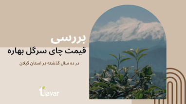 بررسی قیمت چای سرگل بهاره در ده سال گذشته در استان گیلان