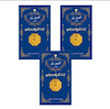 سکه طلا 18 عیار مدل امین زر کد AMINZAR پک سه عدد ۵۰ سوتی