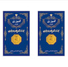 سکه طلا 18 عیار امین زر AMINZAR پک دو عدد ۱ گرمی
