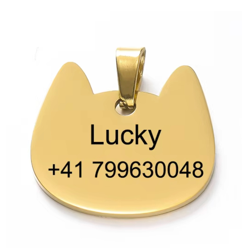 97b716392e127aa9e9b86893e1ff5808.png