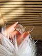 انگشتر ژوپینگ طرح طلا A19