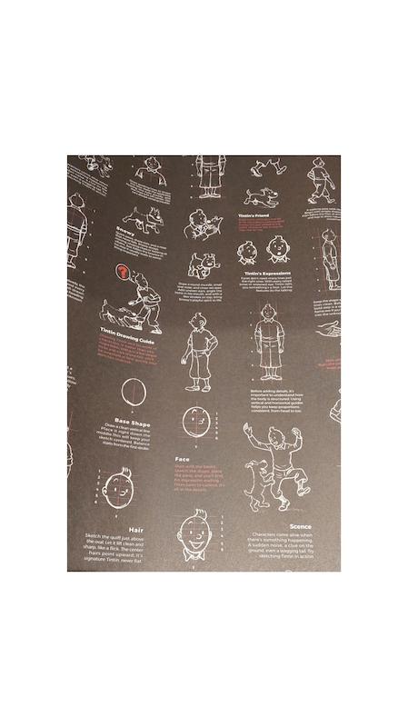 کاغذ کادو تن تن طرح ۲