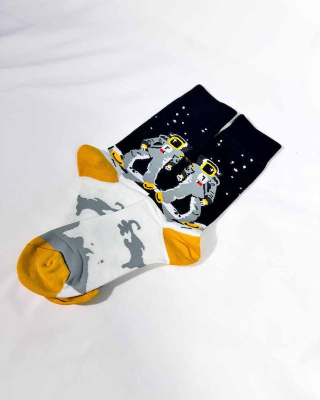 جوراب فرود روی ماه