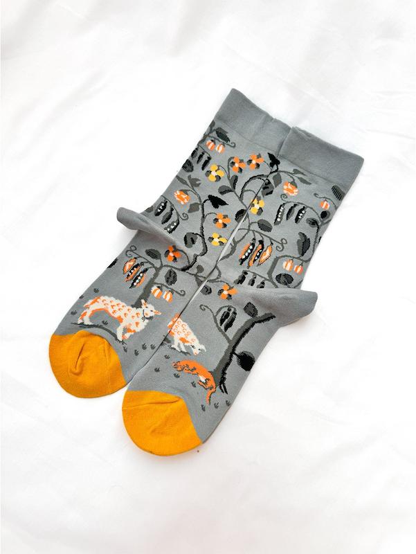 جوراب گوسفند در دشت