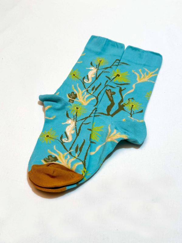 جوراب ماجراجوی ابی