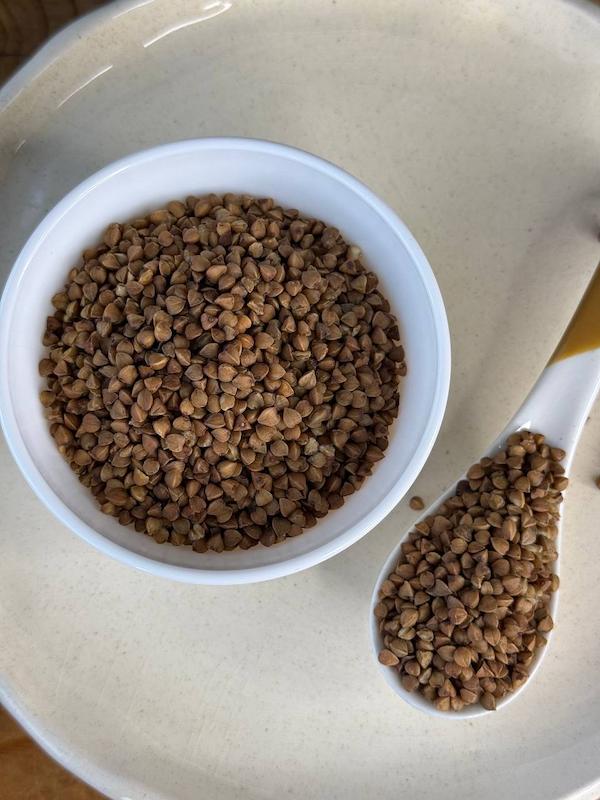 باکوییت یا گندم سیاه