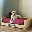 تخت خواب سگ