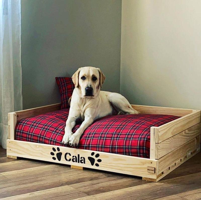 تخت خواب سگ