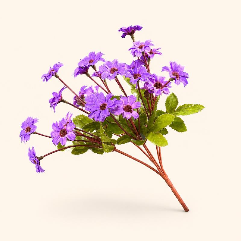 بابونه رنگی ریز
