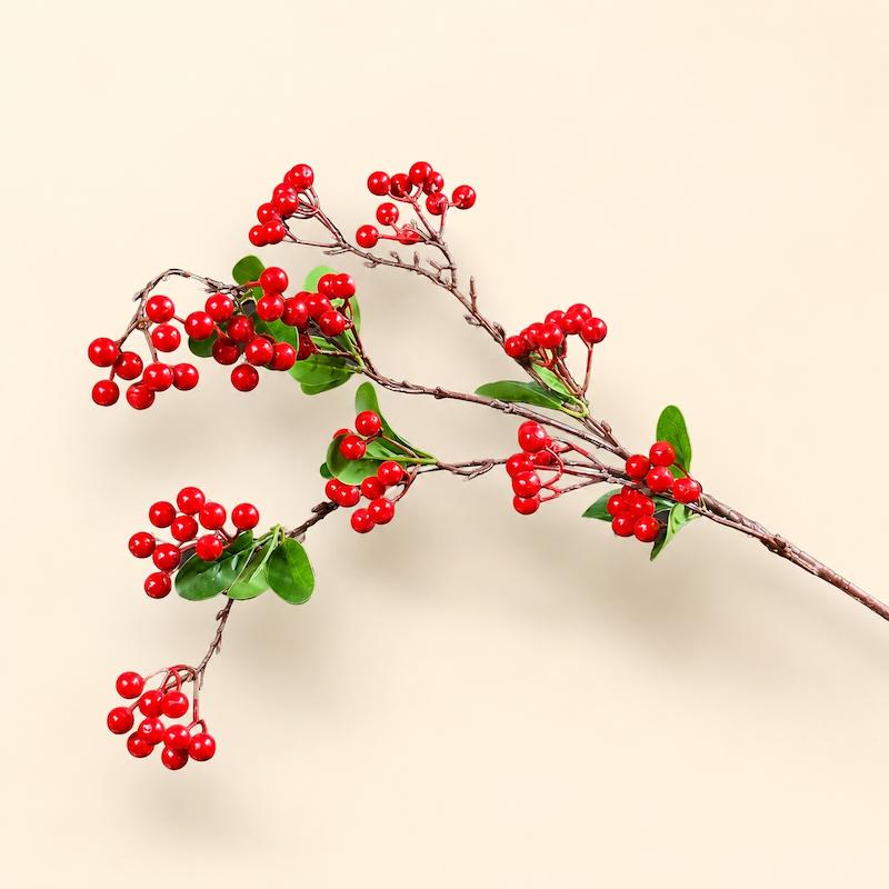 ردبری برگ دار