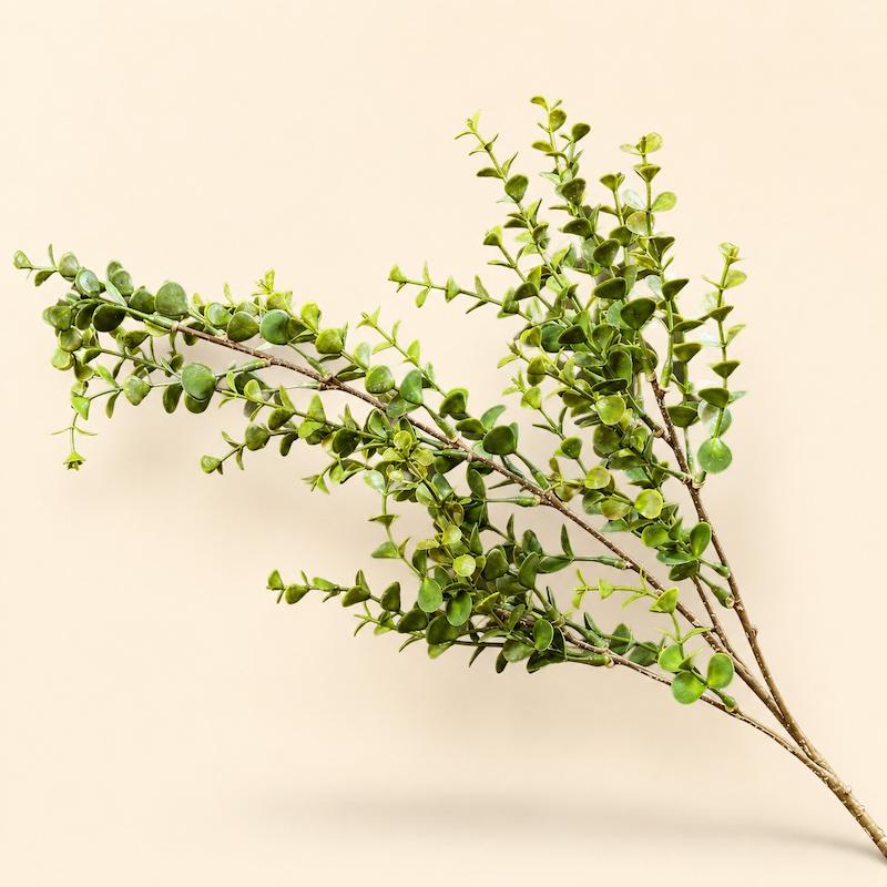 خرجکار سبز