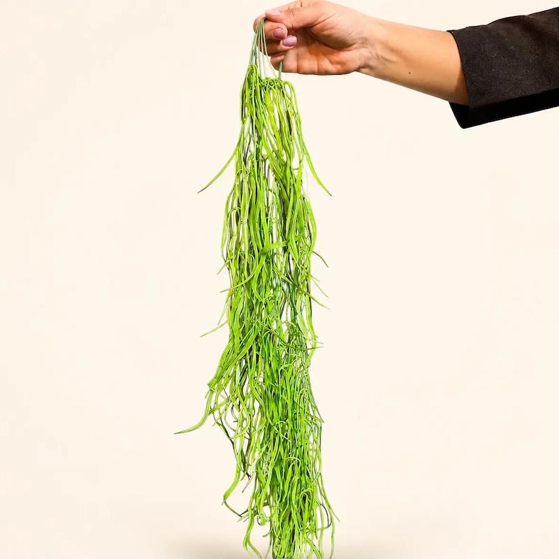 ریسه آویز سبز