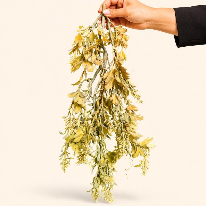بوته آویزی پاییزی 