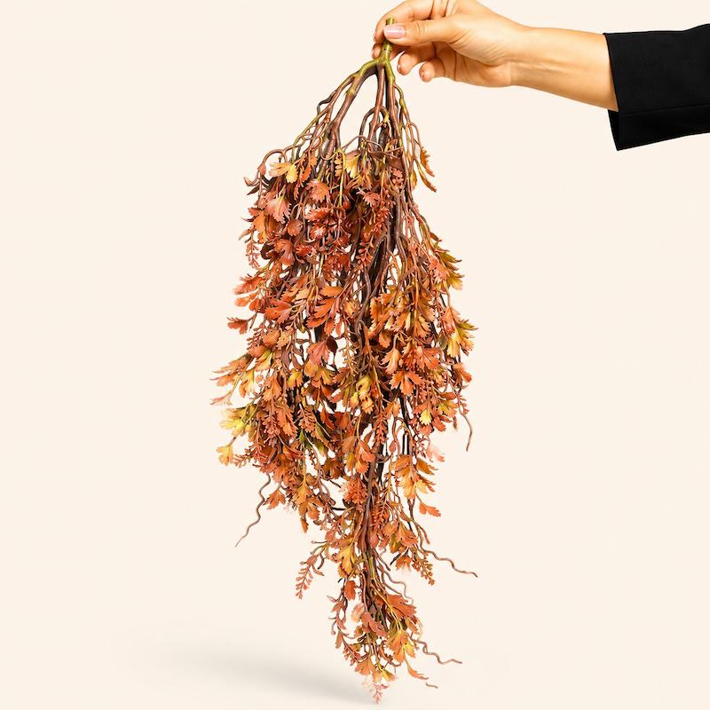 بوته آویز پاییزی