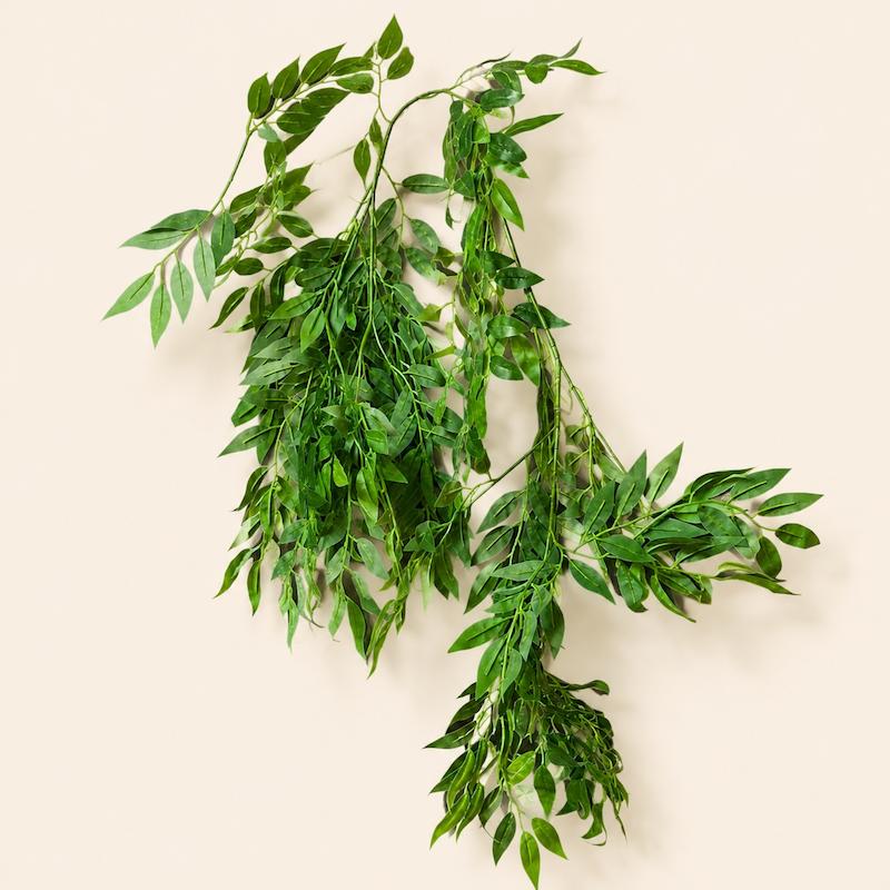 ریسه برگ اقاقیا