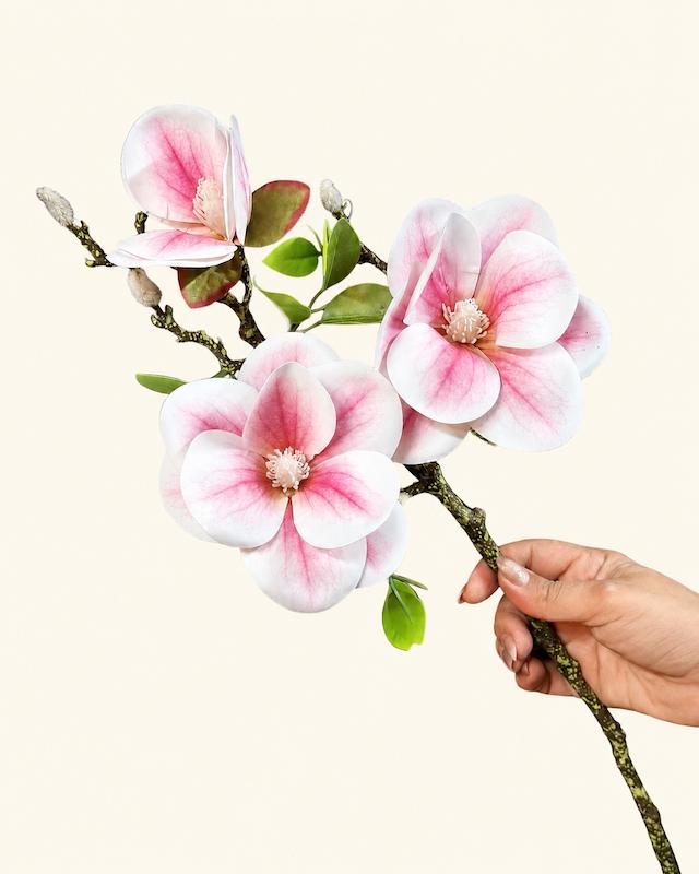 مگنولیا سه گل
