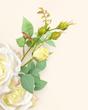 رز پارچه ای