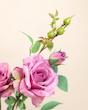 رز پارچه ای