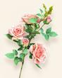 رز پارچه ای