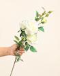 رز پارچه ای
