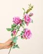 رز پارچه ای