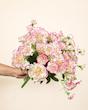 میخک دسته ای