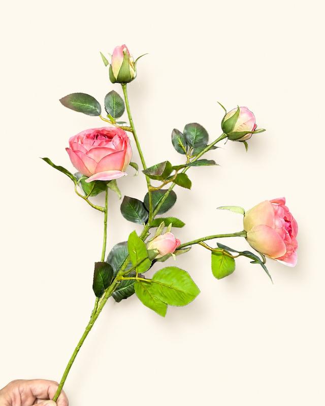 رز نیلا