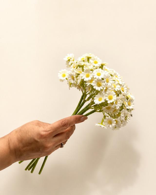 دسته بابونه