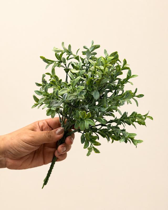 خرجکار برگ شمشادی