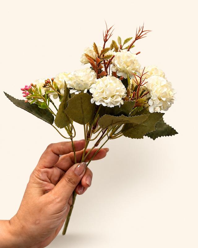 داوودی سفید