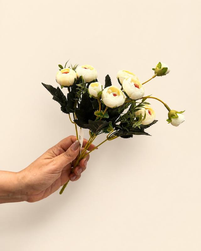 نسترن فندقی سفید