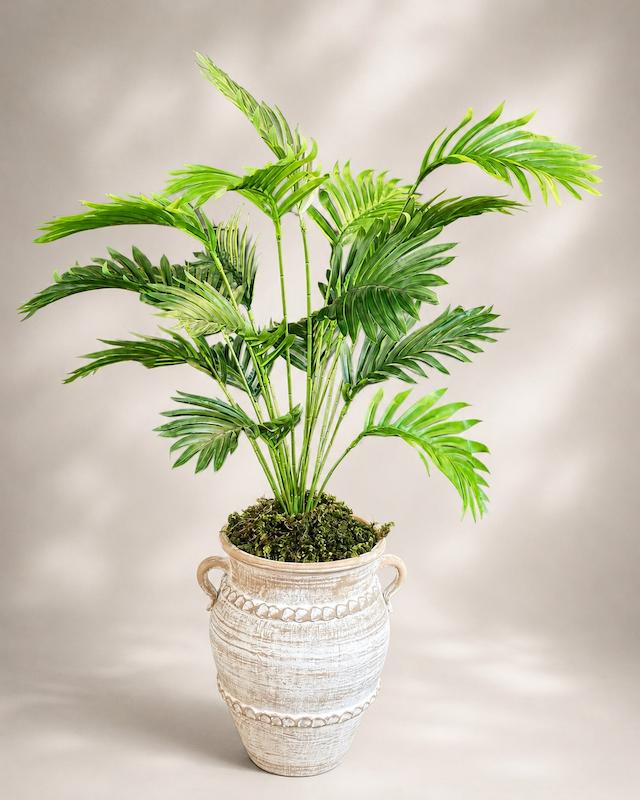 اریکا