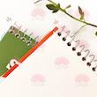 🎨 دفتر طراحی A4 طرح طراحی (برند سخن) 🎨