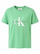 تیشرت زنانه برند کالوین کلاین (Calvin Klein) سبز کم رنگ