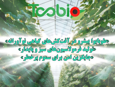 پایلوت اجرا شده در شهرستان ورامین جهت کنترل کنه تارتن دو لکه ای خیار