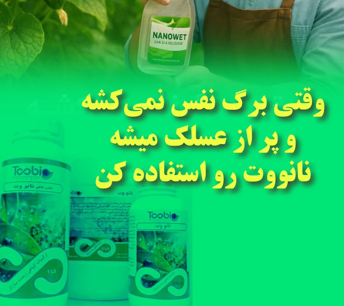 صابون گیاهی نانووت