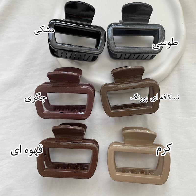 کلیپس نشکن شاین دار اکلیلی 