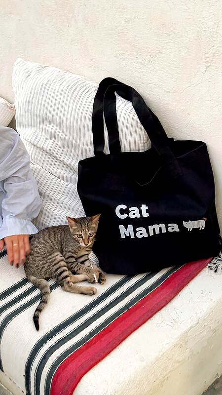 توت بگ Cat Mama